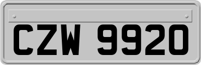 CZW9920