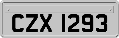 CZX1293