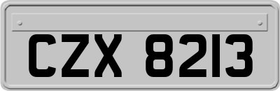 CZX8213