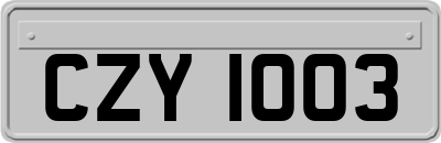 CZY1003