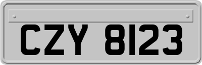 CZY8123
