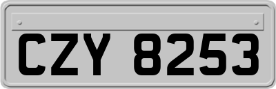 CZY8253