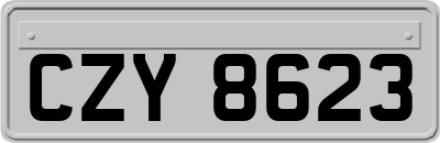 CZY8623