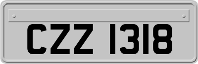 CZZ1318