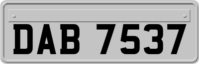 DAB7537