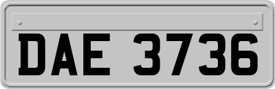 DAE3736