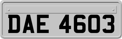 DAE4603