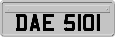 DAE5101