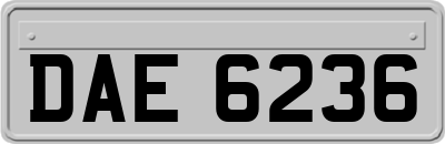 DAE6236