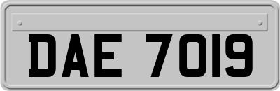 DAE7019