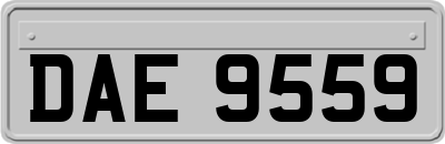DAE9559