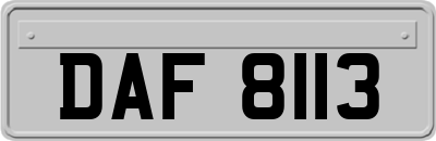 DAF8113