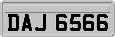 DAJ6566