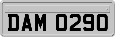DAM0290