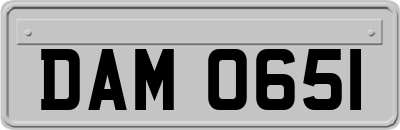 DAM0651
