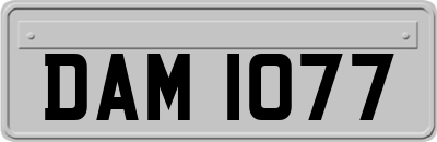DAM1077