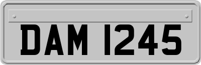 DAM1245