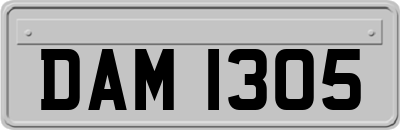 DAM1305
