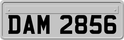 DAM2856