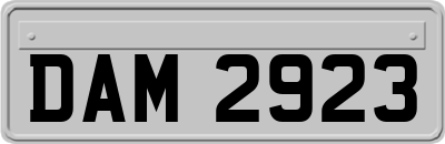 DAM2923