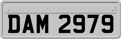 DAM2979