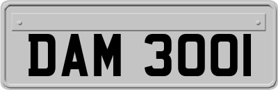 DAM3001