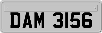 DAM3156