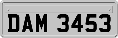 DAM3453