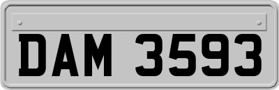 DAM3593