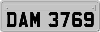 DAM3769