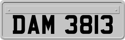 DAM3813