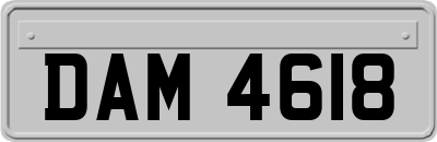 DAM4618