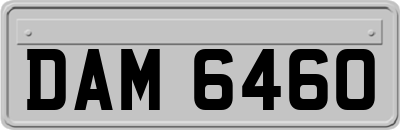 DAM6460