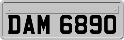 DAM6890