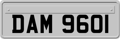 DAM9601