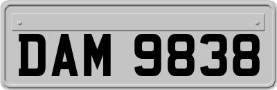 DAM9838