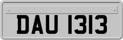 DAU1313