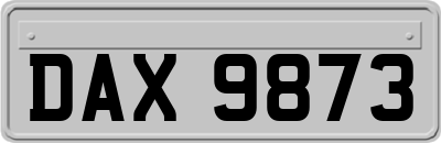 DAX9873