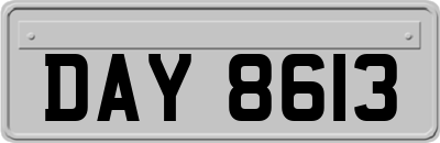 DAY8613