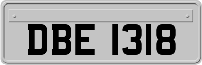 DBE1318