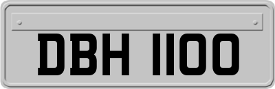 DBH1100