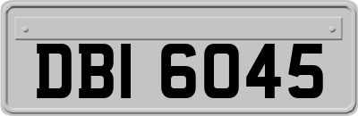 DBI6045