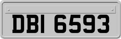 DBI6593