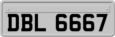 DBL6667