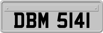 DBM5141