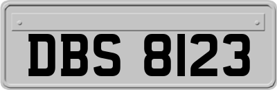 DBS8123