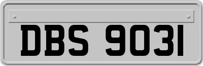 DBS9031