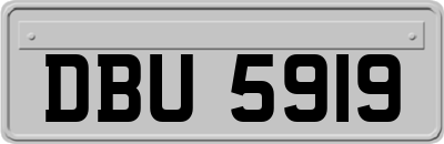 DBU5919