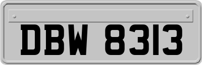 DBW8313