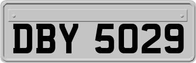 DBY5029